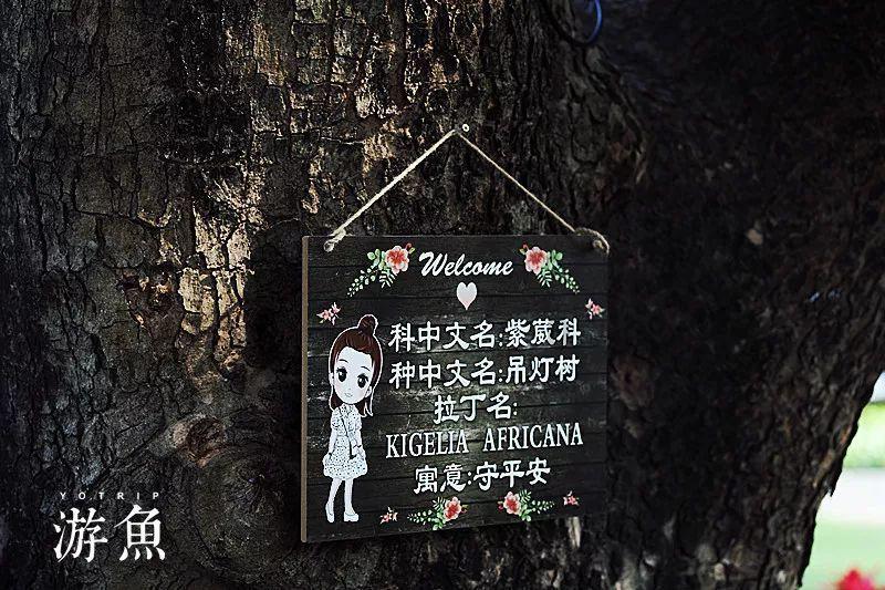 妙鸭相机app下载官网